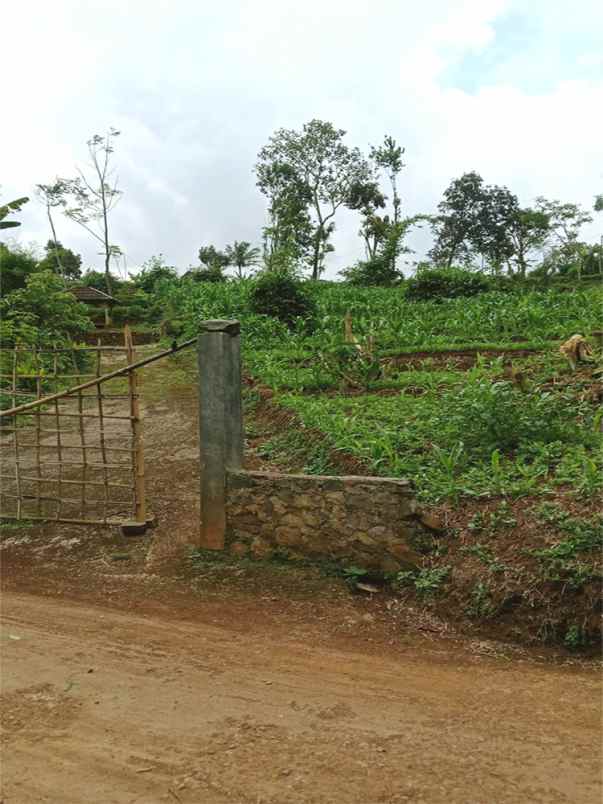 dijual tanah ciwaru