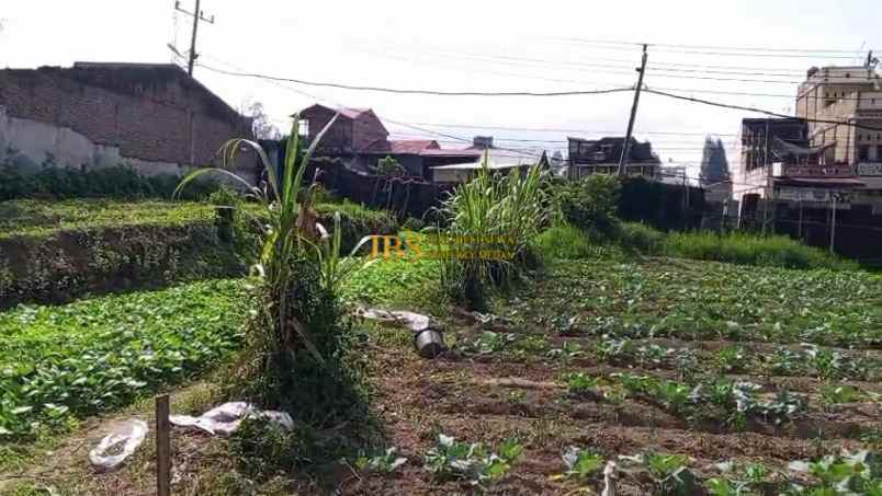 dijual tanah daerah berastagi jalan