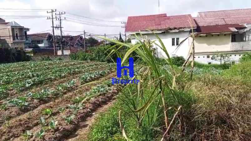 dijual tanah daerah berastagi jalan