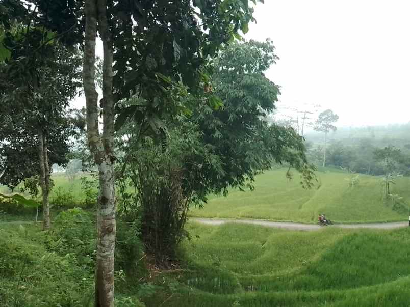 dijual tanah dan sawah produktif pinggir jalan