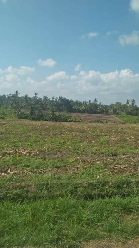 dijual tanah desa antap kec selemadeg