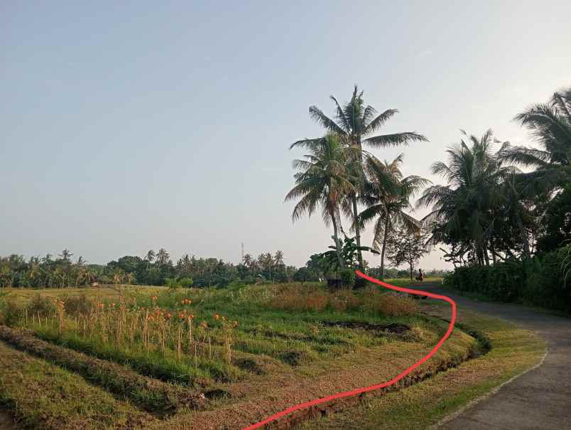 dijual tanah desa antap kec selemadeg