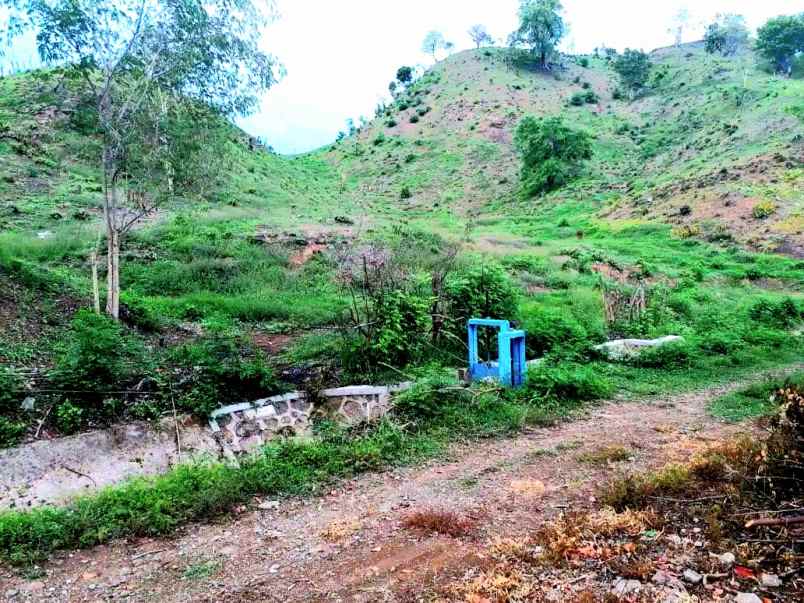 dijual tanah jalan lintas sumbawa bima ntb
