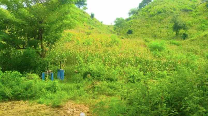 dijual tanah jalan lintas sumbawa bima ntb