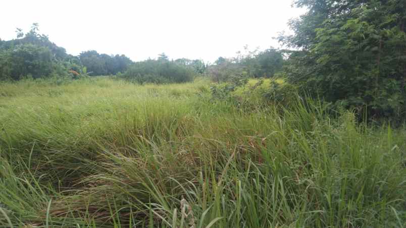 dijual tanah jalan syeh quro