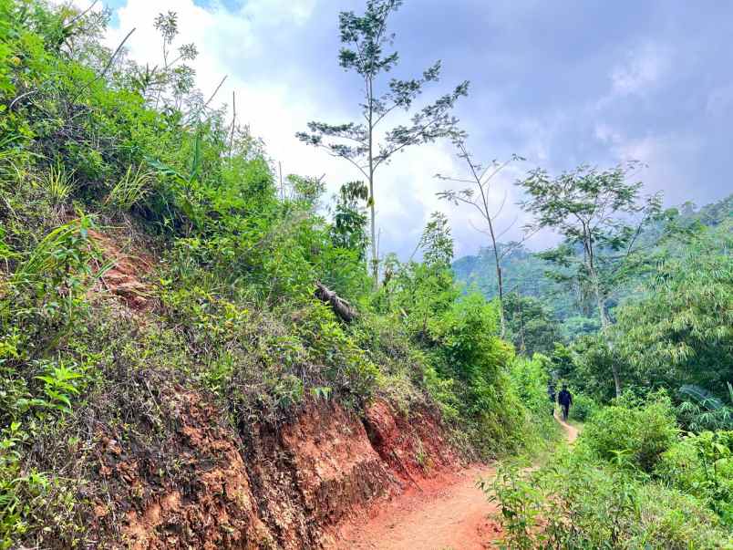 dijual tanah jenawi karanganyar solo