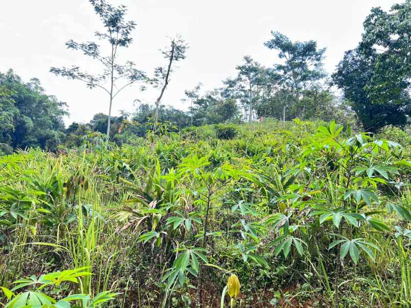 dijual tanah jenawi karanganyar solo