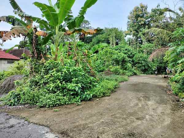 dijual tanah jl gatak ngentan umbulmartani