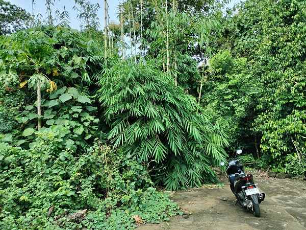 dijual tanah jl gatak ngentan umbulmartani