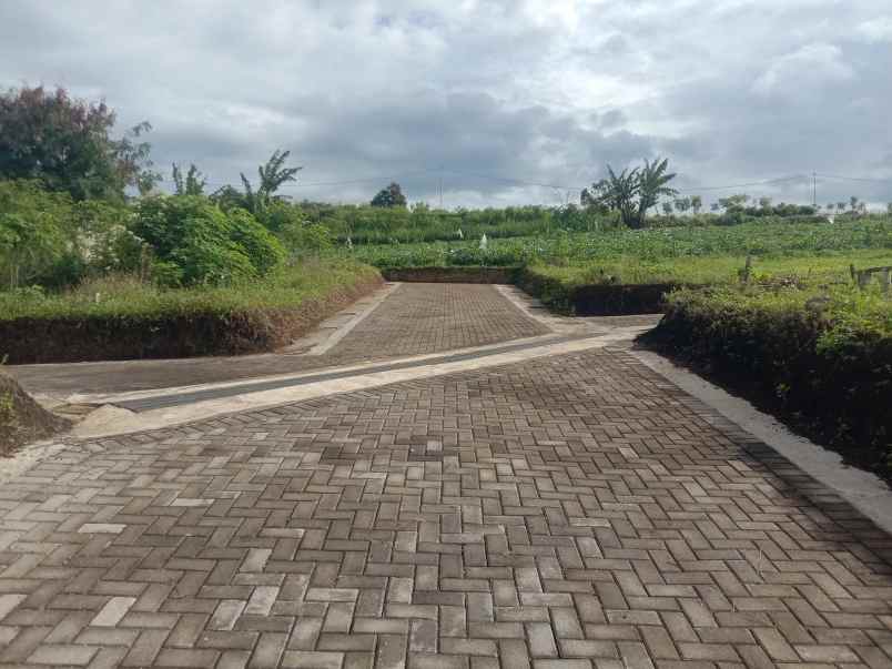 dijual tanah jl h gofur pakuhaji