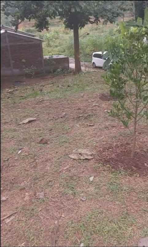 dijual tanah jl perumahan mijen permai