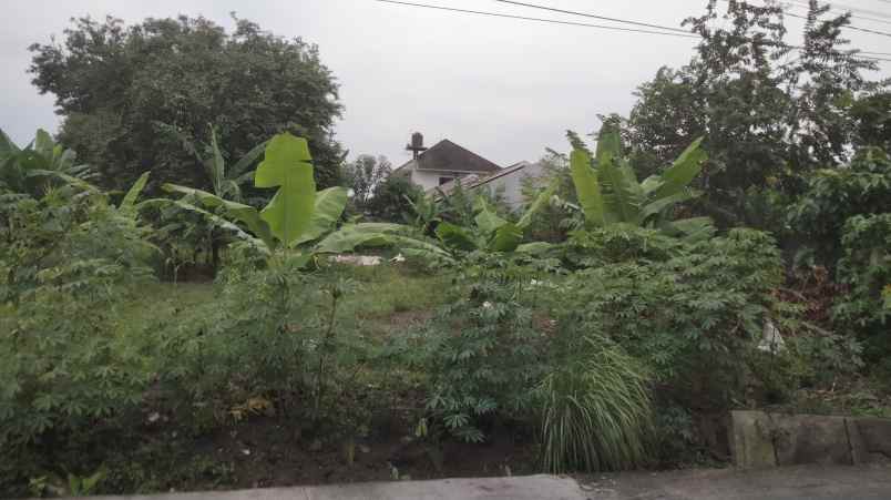 dijual tanah jl sunan ampel jaban