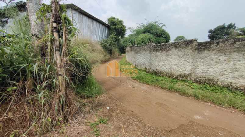 dijual tanah jl wangun jaya kelurahan