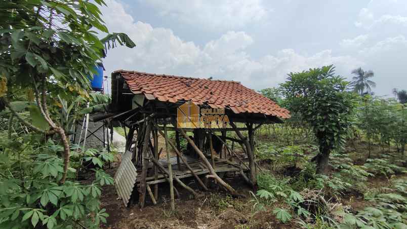 dijual tanah jl wangun jaya kelurahan