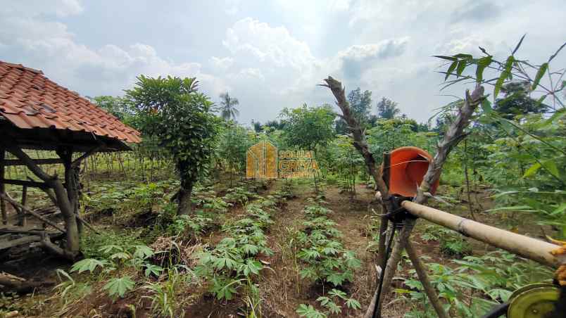 dijual tanah jl wangun jaya kelurahan