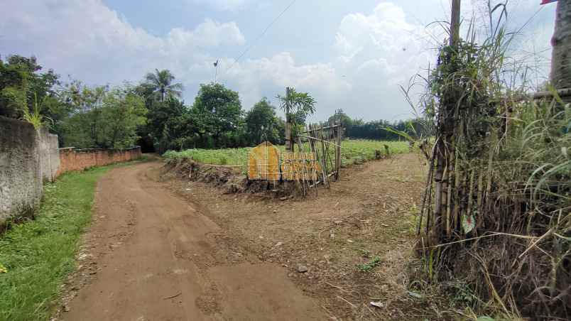 dijual tanah jl wangun jaya kelurahan