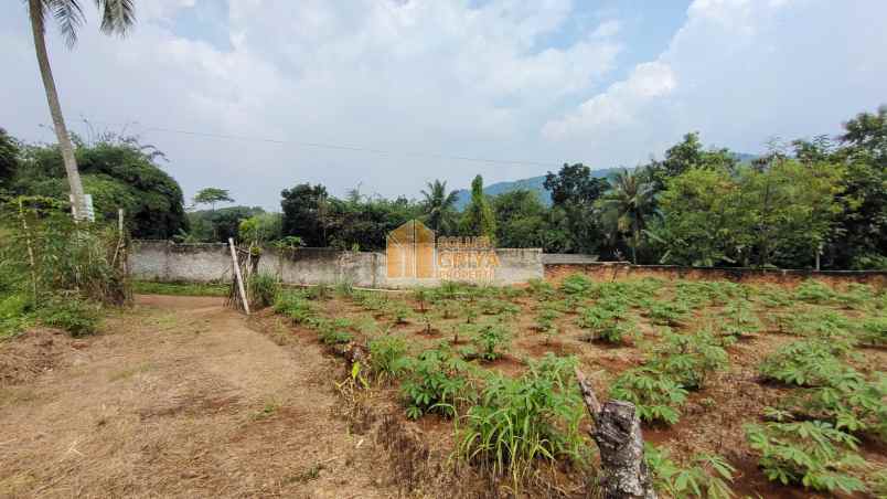 dijual tanah jl wangun jaya kelurahan