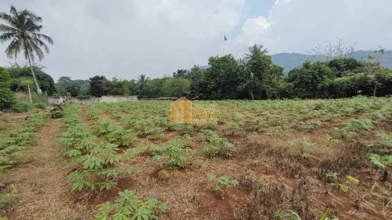 dijual tanah jl wangun jaya kelurahan