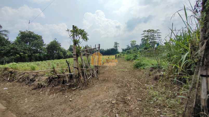 dijual tanah jl wangun jaya kelurahan