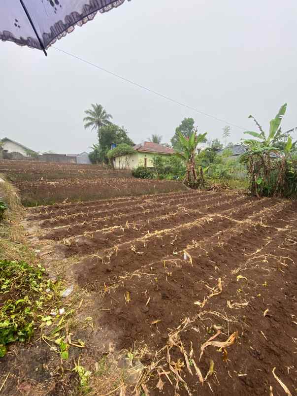 dijual tanah kabupaten sukabumi