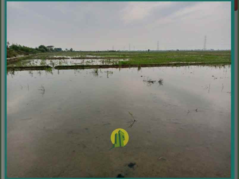 dijual tanah kalangsurya