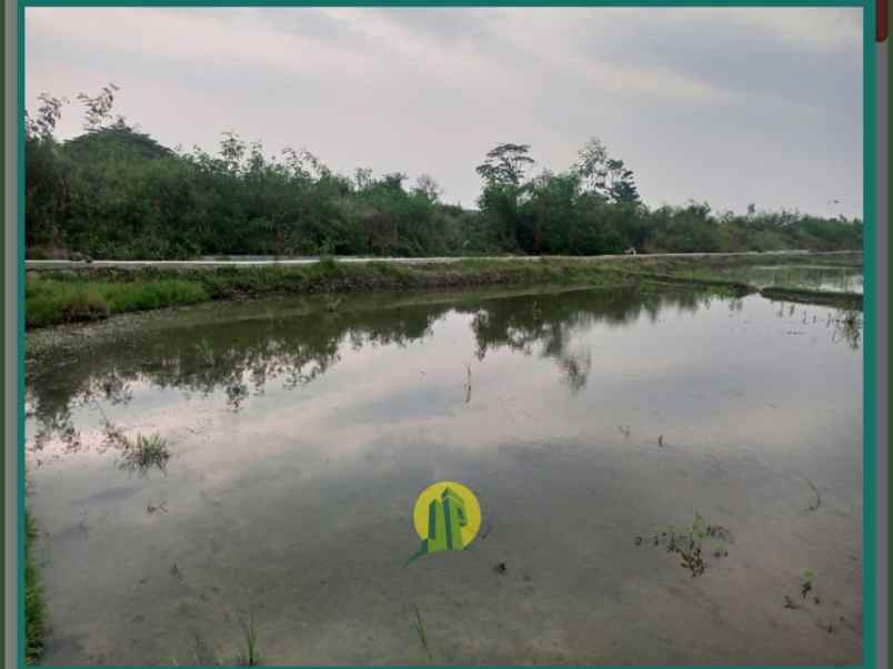 dijual tanah kalangsurya