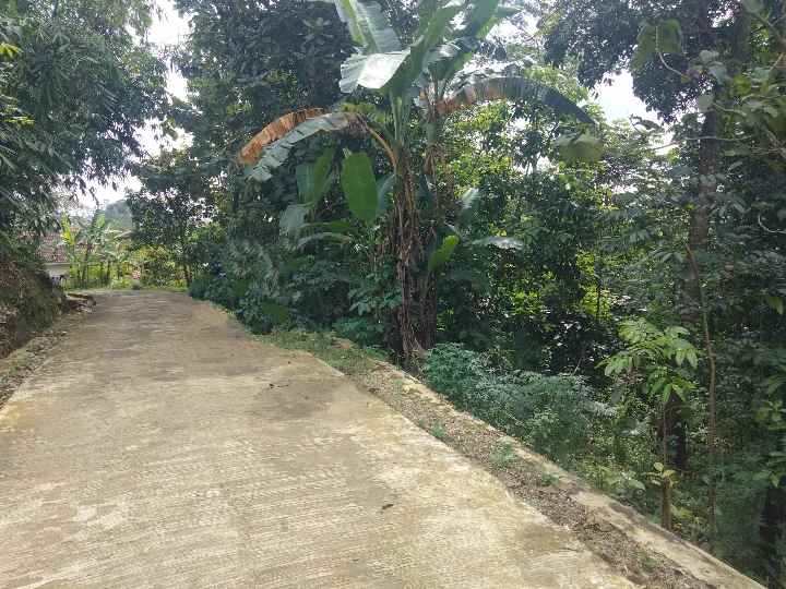 dijual tanah kebun pinggir jl desa