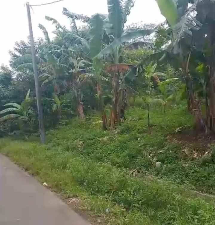 dijual tanah kebun strategis pinggir jalan