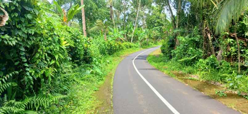 dijual tanah kemetug selemadeg timur