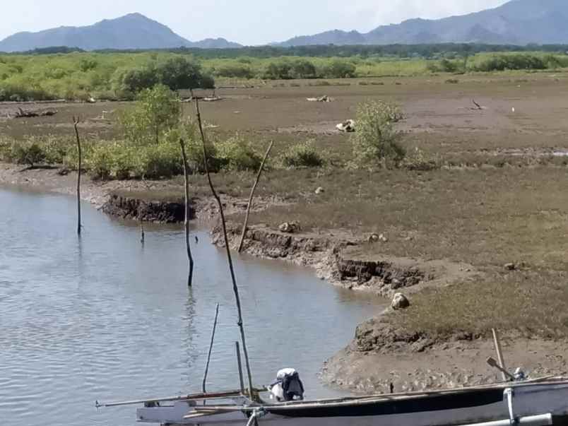 dijual tanah labuhan kuris lape sumbawa