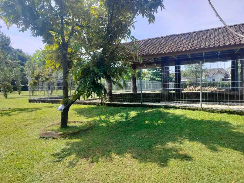 dijual tanah luas 7119 m2 dekat stadion maguwoharjo