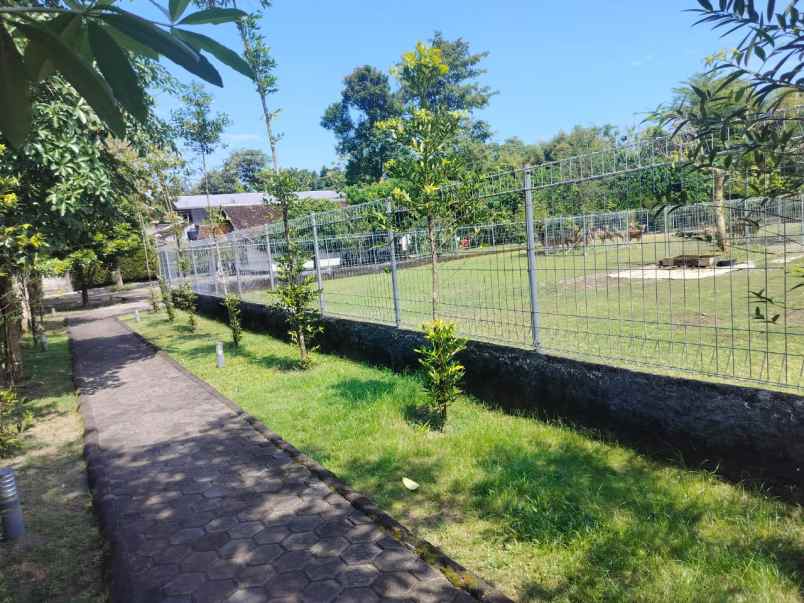 dijual tanah luas 7119 m2 dekat stadion maguwoharjo