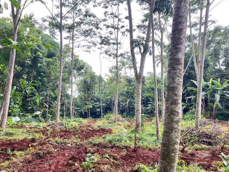 dijual tanah mojogedang karanganyar