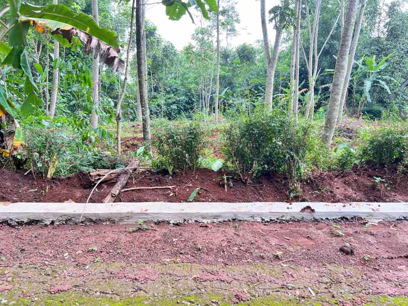 dijual tanah mojogedang karanganyar
