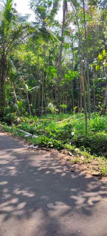 dijual tanah panggang kemalang