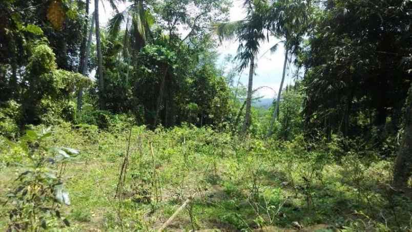 dijual tanah penatahan tabanan bali