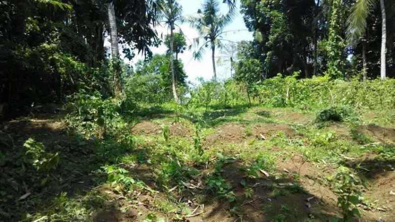 dijual tanah penatahan tabanan bali
