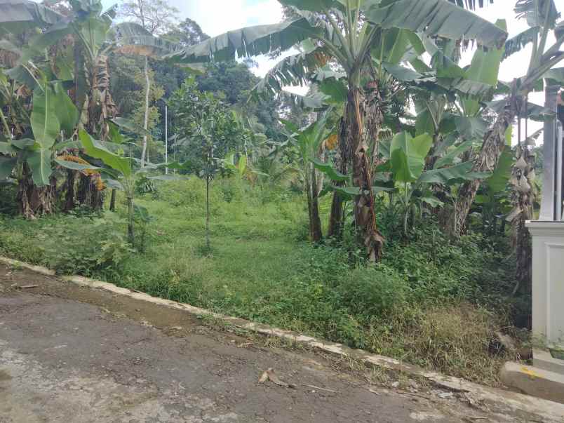 dijual tanah pinggir jl desa akses mobil