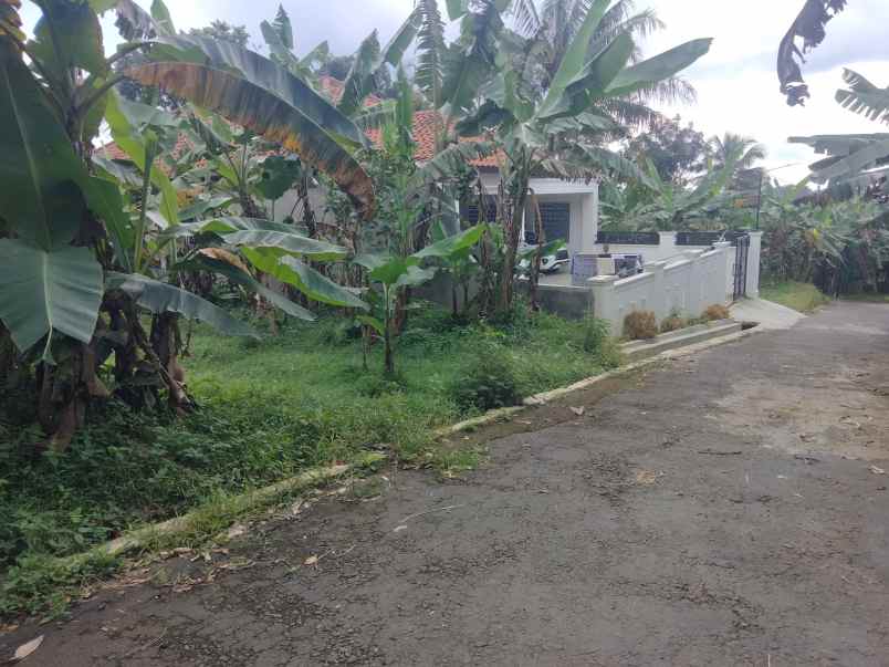 dijual tanah pinggir jl desa akses mobil