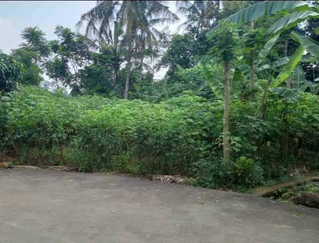 dijual tanah pinggir jl desa di pakembangan