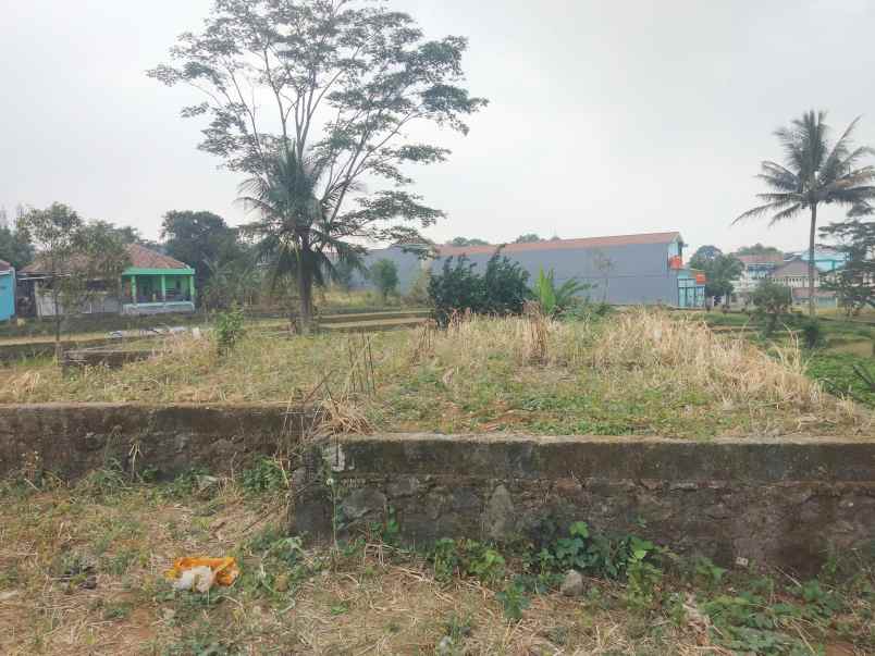 dijual tanah sampora caracas