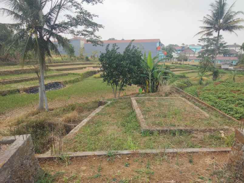 dijual tanah sampora caracas