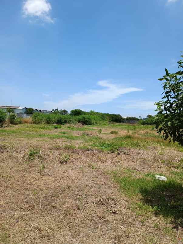 dijual tanah tanah di kamal bisnis