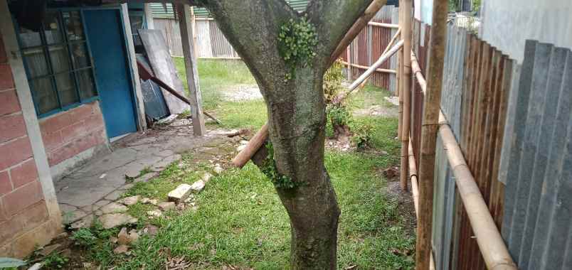 dijual tanah tanjungsari