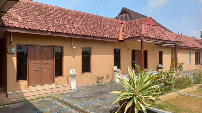 dijual tanah tlogo prambanan klaten