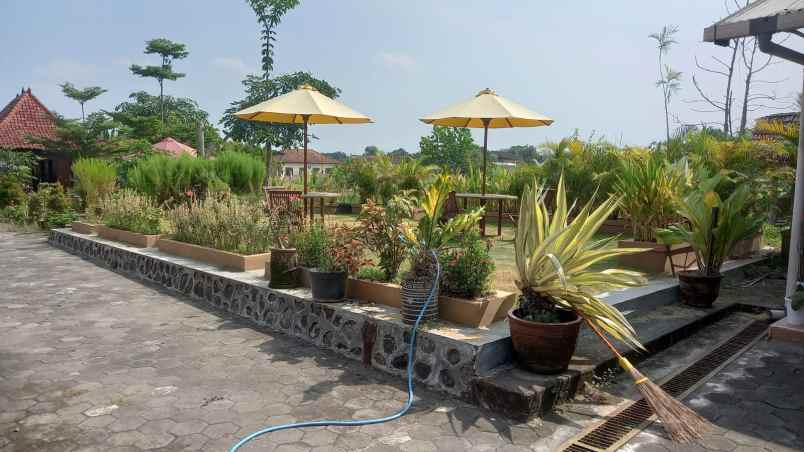 dijual tanah tlogo prambanan klaten