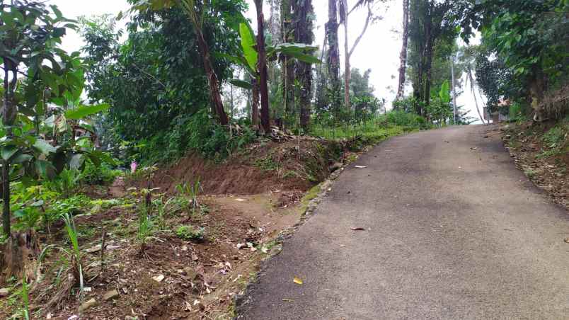 dijual tanah wanayasa