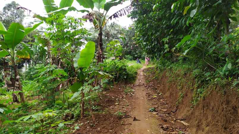 dijual tanah wanayasa