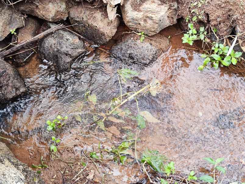 dijual tanah wanayasa