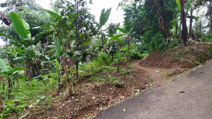 dijual tanah wanayasa